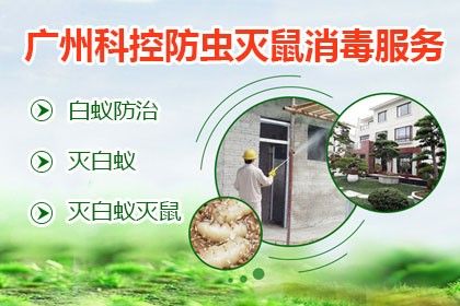 广州科控防虫灭鼠消毒服务提供佛山杀虫灭鼠白蚁防治公司工厂