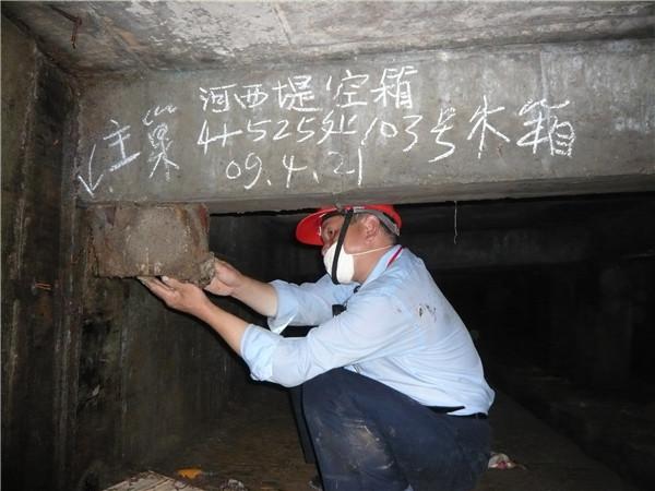 广西南宁市建强白蚁防治 产品展示 广西河堤灭治白蚁消杀白蚁